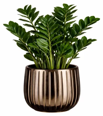 Produktbild von Mica Decorations Pflanzentopf - Keramik - weis glanzend / gerippt - D18 x H16 cm - Blumentopf Pablo
