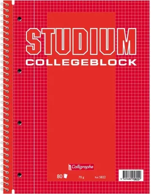 Produktbild von Kollegblock School Basics A4 kariert 1 Rand 80 Blatt Packung mit 25 Stück