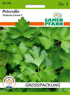 Produktbild von Petersilie Einfache Schnitt (50 g) | Petersiliensamen von Samen Pfann