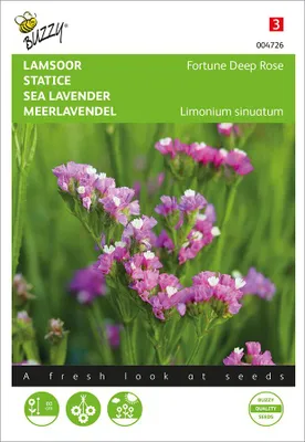 Produktbild von Samen limonium lamsoor fortune deep rose 0.2 Gramm Buzzy