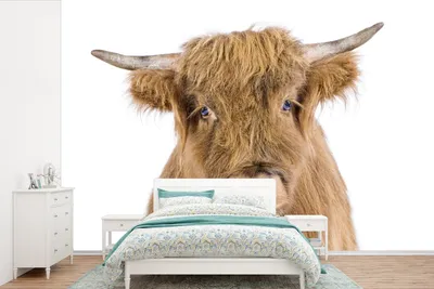 Produktbild von MuchoWow® Fototapete für Wohnzimmer oder Schlafzimmer Wandtapete Vinyl Motivtapete Schottischer Hochländer - Tiere - Braun - Natur - 600x400 cm - Vinyltapeten