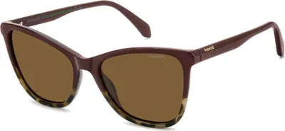 Obrázek produktu pro Polaroid PLD 4194/S Burgundy havana 55/17/140 Dámské sluneční brýle