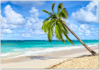 Produktbild von Tulup® Leinwandbild - 100x70 cm - Wandkunst - Drucke auf Leinwand - Leinwanddruck  - Landschaften - Grün - Tropischer Strand