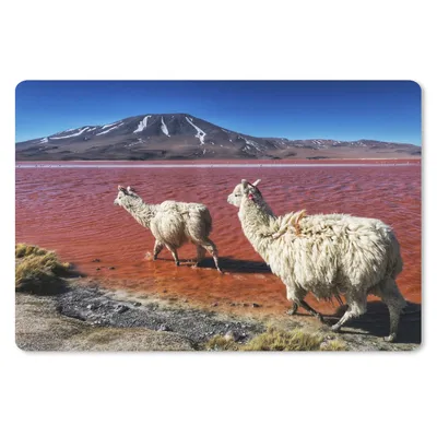 Produktbild von MuchoWow® Mauspad Mousepad Alpakas - Rot - Berg 27x18 cm - Mousepads - Maus Mat - Pad - Mausunterlage - Büroartikel - Desk Matten