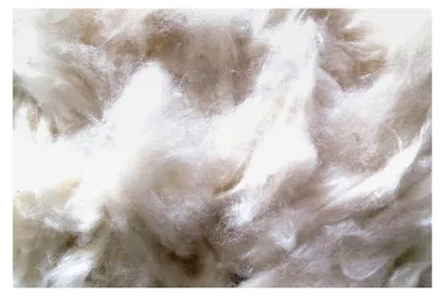 Produktbild von Hamsternest, Nestmaterial aus 100% Kapok, 500g (19,00 €/kg)