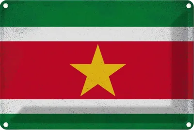 Produktbild von vianmo Blechschild 20x30 cm Suriname Vintage Flagge Fahne Wappen