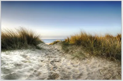Produktbild von Wallario Wandbild Weg durch die Dünen zum Strand am Meer, Größe: 61 x 91,50 cm, Poster mit weißem Aluminiumrahmen