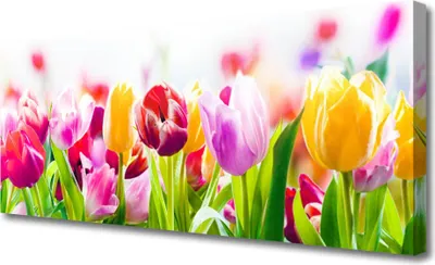 Produktbild von Tulup Leinwand-Bilder 125x50 Wandbild Canvas Kunstdruck Tulpen Pflanzen