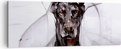 Produktbild von Bild auf Leinwand - Leinwandbild - Hund Abstraktion - 140x50cm - Wand Bild - Wanddeko - Wandbilder - Leinwanddruck - Bilder - Kunstdruck - Wanddekoration - Leinwand bilder - Wandkunst - AB140x50-3999