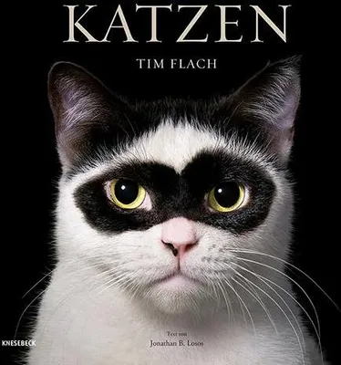 Produktbild von Katzen