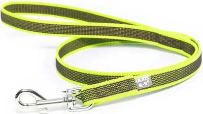 Produktbild von Julius K-9 Rubberized 20 Mm Führleine Gelb 200 cm Gelb 200 cm