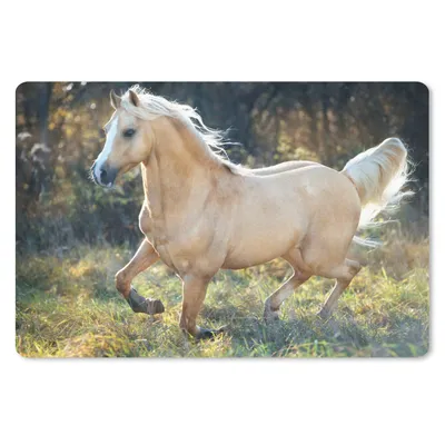 Produktbild von MuchoWow® Schreibtischunterlage Pferd - Natur - Braun 60x40 cm - XXL Mauspad - Großes Mauspad