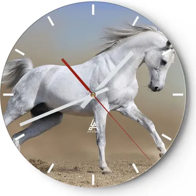 Produktbild von Wanduhr - Rund - Glasuhr - Pferd weiß Tier - 30x30cm - Schleichendes Uhrwerk - Lautlos - zum Aufhängen bereit - Dekoration Modern - Wanddekoration aus Glas - C3AR30x30-0167