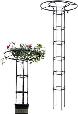Image de Gartengelenk - Tuteur vertical pour fleurs - Support pour plantes - Barres en acier - 210 cm - Noir laqué