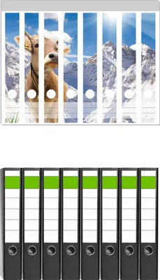 Produktbild von Wallario 8 Stück schmale Ordner inkl. Klebeetiketten mit Motive Kuh im Sonnenschein in den Alpen -  Set mit Rückenschildern / Ordnerrücken Stickern