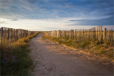 Produktbild von Wallario selbstklebendes Poster - Sandweg an einem Strand in Frankreich, Bretagne, Größe: 61 x 91,50 cm