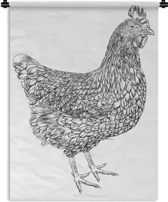Produktbild von MuchoWow® Wandteppich Wandbehang Eine Schwarz-Weiß-Illustration eines Huhns 60x80 cm Tapisserie Dekoration Wandtuch - Decke - Wandtücher - Wohne