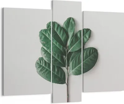 Produktbild von Bild auf Leinwand - Leinwandbild - 3 Teile - Blätter Pflanzen Botanik - 95x80cm - Wand Bild - Wanddeko - Wandbilder - Leinwanddruck - Bilder - Wanddekoration - Leinwand bilder - CB95x80-4956