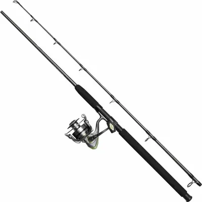 Immagine prodotto di Dam Full Cat Spin Combo Argento 2,70 m / 40-150 g Argento 2,70 m