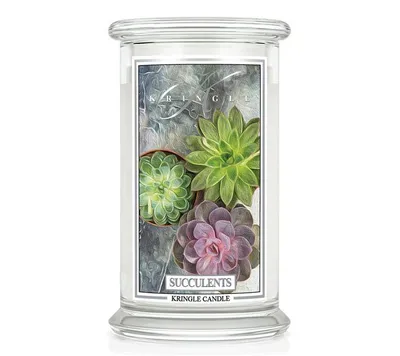 Obrázok produktu pre Kringle Candle Succulents vonná sviečka veľká 2-knôtová (624 g)