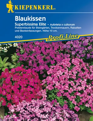 Produktbild von Blaukissen Superbissima Elite | Blumensamen von Kiepenkerl