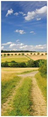 Produktbild von Wallario Premium Glasbild, freischwebende Optik, kräftige Farben, Größe 125 x 50 cm Motiv Feldlandschaft unter blauem Himmel