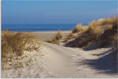 Produktbild von ARTland Wandbild Alu für Innen & Outdoor Am Meer - Insel Amrum Größe: 30x20 cm