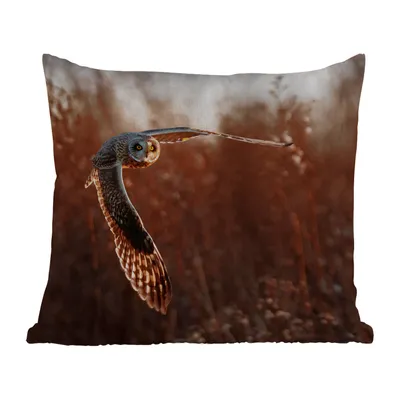 Produktbild von MuchoWow® Outdoor Kissen - Vogel - Eule - Sonnenuntergang - Natur - 45x45 cm - Wetterfest - Lounge Kissen - Fotokissen - Dekoratives Kissen