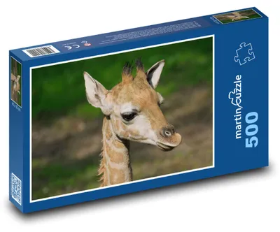 Obrázok produktu pre Puzzle 500 Žirafa - mláďa cicavca - martinpuzzle