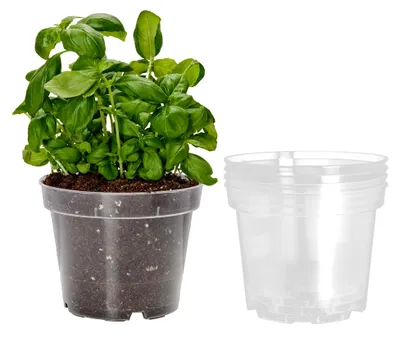 Produktbild von Blumentopf Orchideentopf Transparent runder Übertöpfe für Zimmerpflanzen Pflanzentopf Pflanztöpfe Kunststoff in verschiedenen Größen GD-0024 (5 Stück Transparent, ⌀ 13cm H 10,4cm)