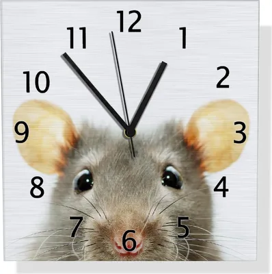 Produktbild von Wallario Design Wanduhr Maus am Tellerrand aus Aluverbund, Größe 30 x 30 cm