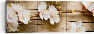 Produktbild von Bild auf Leinwand - Leinwandbild - Blume Stängel - 90x30cm - Wand Bild - Wanddeko - Wandbilder - Leinwanddruck - Bilder - Kunstdruck - Wanddekoration - Leinwand bilder - Wandkunst - CA90x30-3537