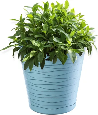 Immagine prodotto di KADAX vaso da fiori con piattino "Greve", vaso da fiori, vaso per piante in plastica, fioriera, rotondo, 21 cm, menta