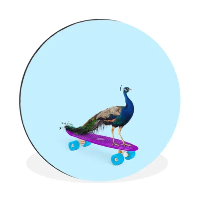 Produktbild von MuchoWow® Aluminium Wandkreis Pfau - Blau - Skateboard - Tiere - Lustig Ø 60 cm Wanddeko Modern Wohnzimmer - Wand Kreis - Wandbild - Schlafzimmer - Aluminium Bild - Kinderzimmer - Wohnzimmer Dekoration - Wandschmuck