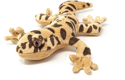 Image de Cornelissen - Peluche - Gecko léopard - 27 cm