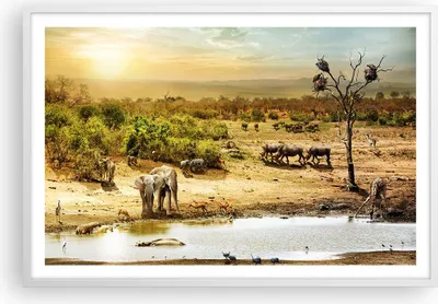 Produktbild von Gerahmtes Poster - Weißer Rahmen - Safari Tiere - 91,5x61 cm - Wand Bild - Wanddeko - Wandbilder - Kunstposter - Wandposter - Bilderrahmen - Bilder - Kunstdruck - Wandbild - P2WAA91x61-3880