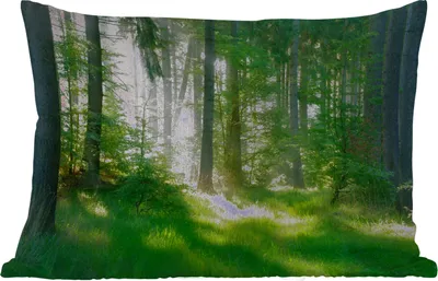Produktbild von MuchoWow® Outdoor Kissen - Natur - Bäume - Wald - Grün - Sonne - Gras - Pflanzen - 60x40 cm - Wetterfest - Lounge Kissen - Zierkissen - Kissen für Innenräume
