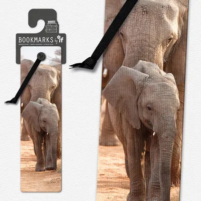 Produktbild von 3D-Lesezeichen „Elefant“ mit Schleife