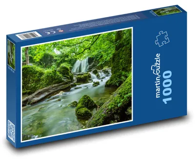 Zdjęcie produktu dla Puzzle 1000 Dzika rzeka w zarośniętym lesie - martinpuzzle