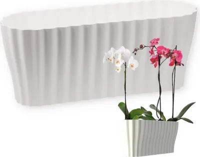Pflanzschale „Season“ Aus Pflanzenfaser – Ø 40 Cm, Ca. 16 Cm Hoch – Braun – Mit Folie Zum Bepflanzen