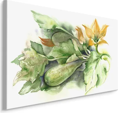 Produktbild von Fabelhafte Canvas LEINWAND BILDER 100x70 cm XXL Kunstdruck Gemüse Zucchini Blumen