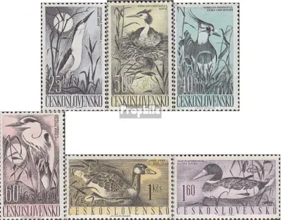 Produktbild von Briefmarken Tschechoslowakei 1960 Mi 1228-1233 (kompl.Ausg.) postfrisch Wasservögel