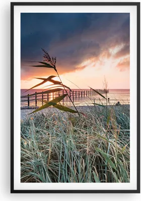 Produktbild von Gerahmtes Poster - Schwarzer Rahmen - Strand Gras Horizont - 61x91,5 cm - Wand Bild - Wanddeko - Wandbilder - Kunstposter - Wandposter - Bilderrahmen - Bilder - Kunstdruck - P2BPA61x91-4625