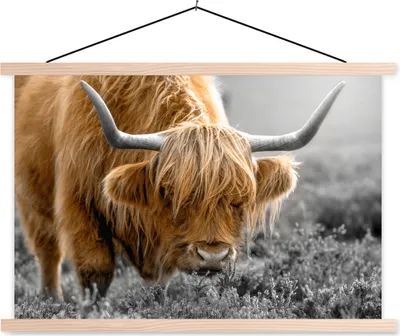 Produktbild von MuchoWow® Textilposter Schottisches Hochlandrind - Tiere - Braun - Kuh - Schwarz - Weiß - Natur 120x80 cm mit holzfarbenen Rahmen - Aufhängeset