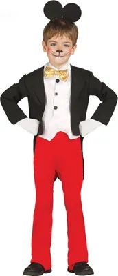 A child wearing a mouse costume.