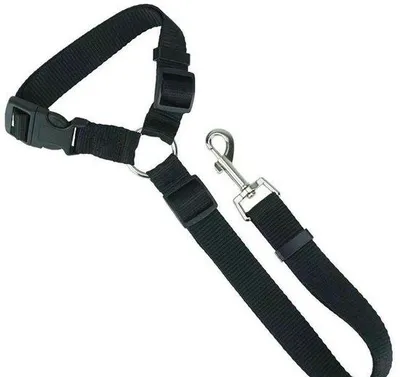 Produktbild von Sicherheitsgurte für Hunde, Nylon, verstellbar, schwarz, 35-75cm