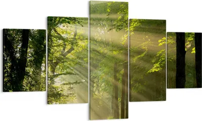 Produktbild von Bild auf Leinwand - Leinwandbild - Wald Baum Natur - 125x70cm - Wand Bild - Wanddeko - Wandbilder - Leinwanddruck - Bilder - Kunstdruck - Wanddekoration - Leinwand bilder - Wandkunst - EA125x70-3661