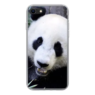 Produktbild von MuchoWow® Handyhülle Schutzhülle Hülle für iPhone SE 2022 Panda - Tier - Blätter Silikon Softcase Handy Hülle - Schutzhülle