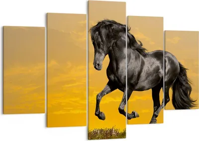 Produktbild von Bild auf Leinwand - Leinwandbild - Tiere Pferd Laufen Wiese - 150x100cm - Wand Bild - Wanddeko - Leinwanddruck - Bilder - Kunstdruck - Wanddekoration - Leinwand bilder - Wandkunst - EA150x100-2248
