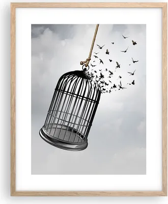 Produktbild von Gerahmtes Poster - Rahmen in heller Eiche - Freiheit Käfig Vögel - 40x50 cm - Wand Bild - Wanddeko - Wandbilder - Kunstposter - Wandposter - Bilderrahmen - Bilder - Kunstdruck - P2NPA40x50-4997